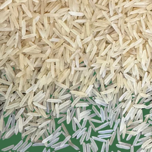1509 golden sella basmati img