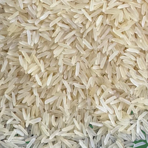 rh10 golden sella rice